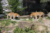 ZOO Olomouc