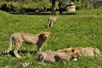 ZOO Olomouc
