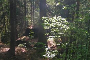 Chudý hrádek (© Pavel Zabrana, 12/2006)