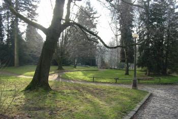 park pod zámkem (© D Dohňanský, 12/2014)