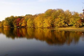 Podzámecký rybník a lesopark (© Jan P. Štěpánek, 10/2006)