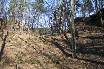  (© Michal Brůža, 02/2011)
