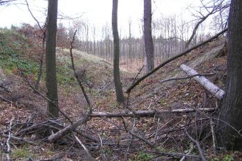 ( © Jan P. Štěpánek 01/2005)