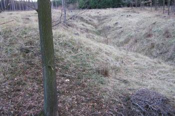  ( © Jan P. Štěpánek 01/2005)