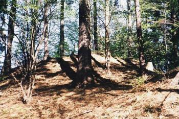  ( © Jan P. Štěpánek 1999)