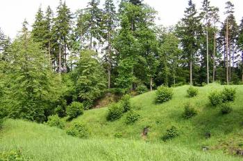 pohled na tvrziště od západu ( © Jan P. Štěpánek 06/2005)