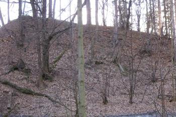pahorek tvrze se zřetelným čelním příkopem oddělujícím tvrz od místa zaniklé osady ( © Jan P. Štěpánek 02/2008)