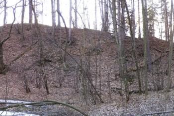 celkový pohled na tvrz se zřetelným čelním příkopem od ssv. ( © Jan P. Štěpánek 02/2008)