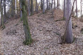 ukončení lokality tvrze od severozápadu ( © Jan P. Štěpánek 02/2008)