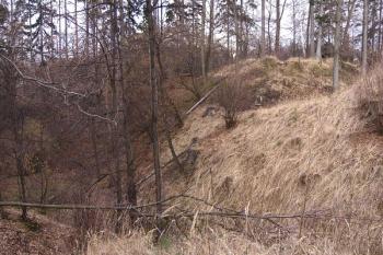 pohled na údolí ohraničující lokalitu tvrze i osadu na západě ( © Jan P. Štěpánek 02/2008)