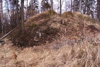 pahorek jádra od vyústění příkopu na západě ( © Jan P. Štěpánek 02/2008)