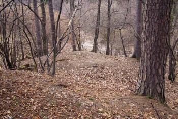 ukočení tvrze drobným příkopem a za ním vystupujícím pahorkem (snad forma opevnění) na severozápadě ( © Jan P. Štěpánek 02/2008)