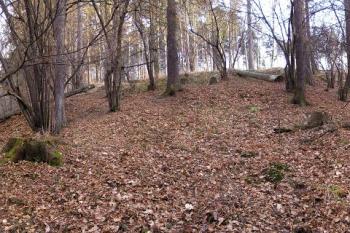 plocha jádra tvrze od jejího severozápadního ukončení ( © Jan P. Štěpánek 02/2008)