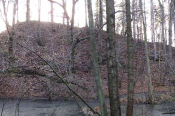 celkový pohled na lokalitu tvrziště od severovýchodu ( © Jan P. Štěpánek 02/2008)