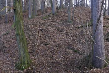 pohled na lokalitu tvrziště od szz. ( © Jan P. Štěpánek 02/2008)