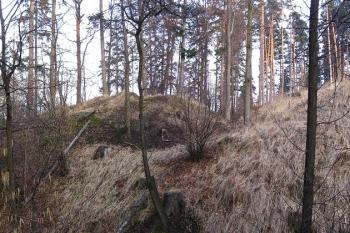 celkový pohled na lokalitu tvrze od jihu ( © Jan P. Štěpánek 02/2008)