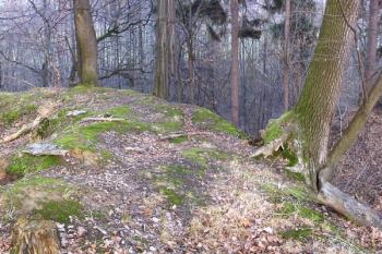čelo jádra tvrze ( © Jan P. Štěpánek 02/2008)