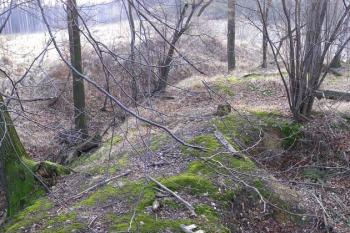 čelo jádra tvrze ( © Jan P. Štěpánek 02/2008)