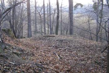 malý pahorek v západní části tvrziště ( © Jan P. Štěpánek 02/2008)