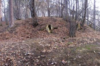 celkový pohled na pahorek tvrziště od szz ( © Jan P. Štěpánek 02/2008)