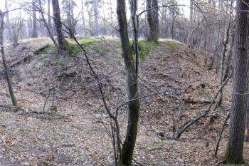 pahorek jádra tvrze za čelním příkopem od svv. ( © Jan P. Štěpánek 02/2008)