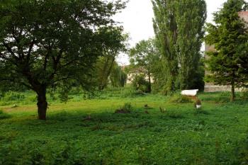 Park u zámku (© Jiří Cukr, 07/2013)