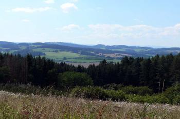 Boží kámen - pohled západním směrem z cesty od silnice (© Jiří Cukr, 08/2010)