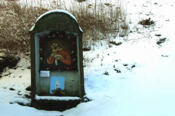  ( © Petr Hejna 02/2012)