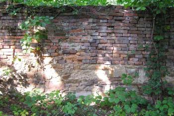 Pozůstatek obvodové zdi zámeckého parku ( © Jan P. Štěpánek 10/2006)