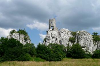 celkový pohled na zříceninu hradu od západu ( © Jan P. Štěpánek 07/2010)