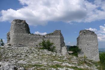 celkový pohled od jihu na zříceniny Sirotčího hradu ( © Jan P. Štěpánek 07/2010)
