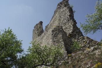  (© Michal Brůža, 04/2011)