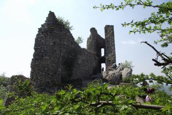  (© Michal Brůža, 04/2011)