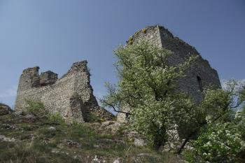  (© Michal Brůža, 04/2011)