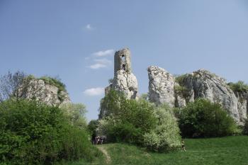  (© Michal Brůža, 04/2011)