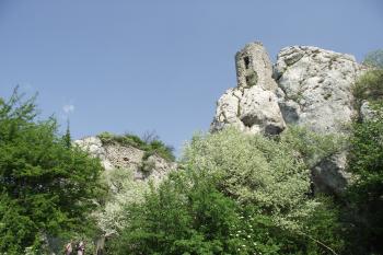  (© Michal Brůža, 04/2011)