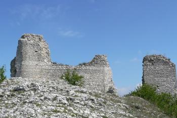 celkový pohled na zříceniny Sirotčího hrádku od jihu ( © Jan P. Štěpánek 07/2008)