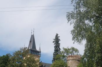  (© Jiří Suchomel, 08/2009)