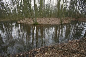 Tvrziště od severu ( © Filip Matoušek 04/2008)
