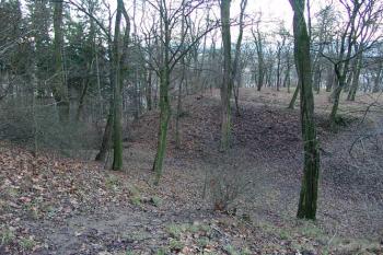 Východní cíp hrádku ( © Roman Řezáč 01/2005)