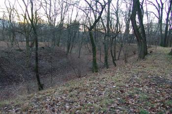 Příkop na severozápadě ( © Roman Řezáč 01/2005)