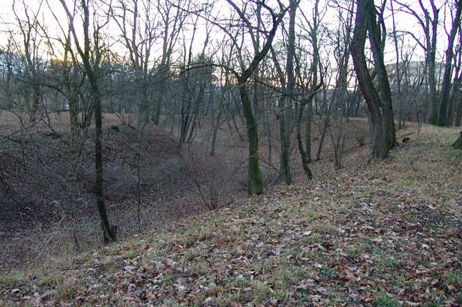 Bučovice
