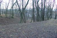 Bučovice