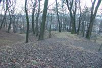 Bučovice