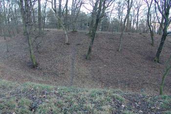 Pohled na jádro od severozápadu přes příkop ( © Roman Řezáč 01/2005)