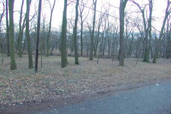 Celkový pohled ( © Roman Řezáč 01/2005)