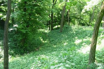 západní příkop s valem (© D Dohňanský, 06/2015)