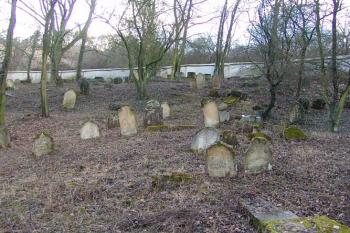  ( © Roman Řezáč 01/2005)