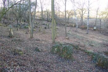  ( © Roman Řezáč 01/2005)