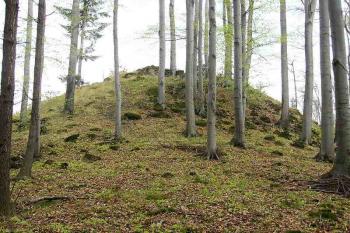  ( © Jan P. Štěpánek 05/2005)